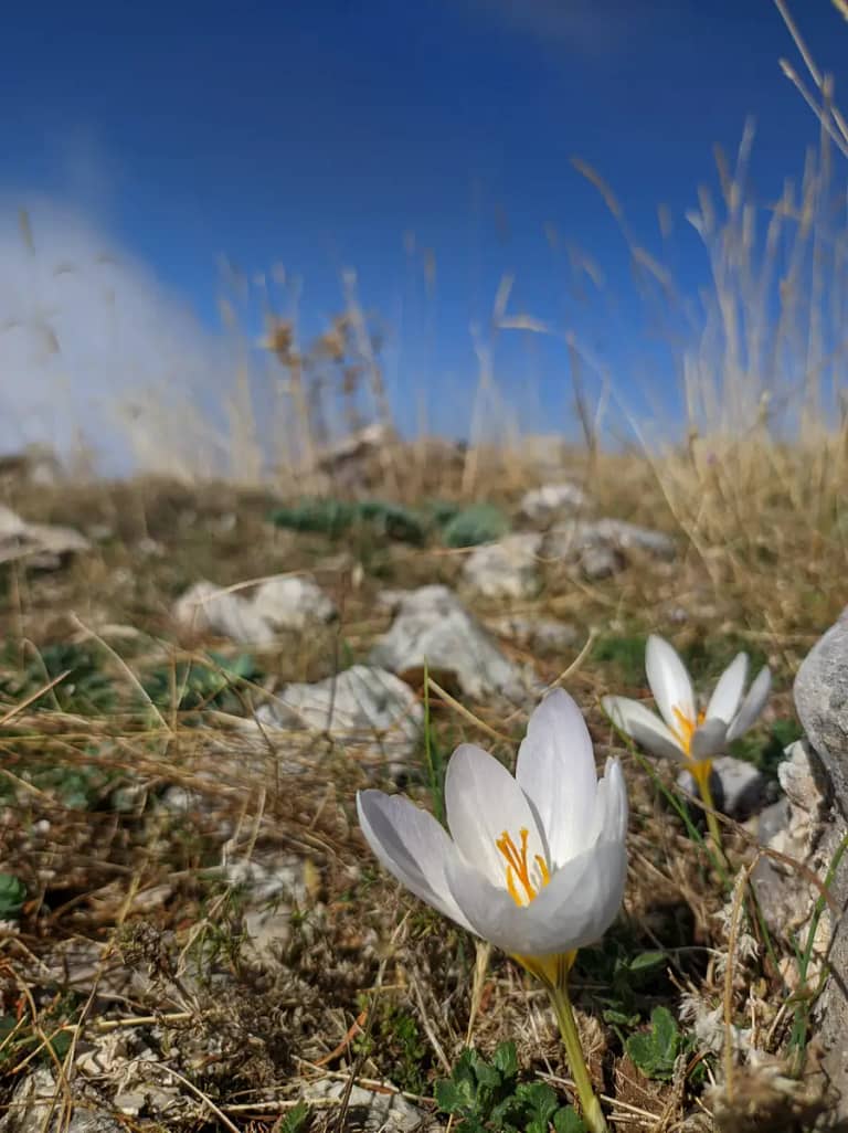 Hiking at the mountain Panaitoliko.